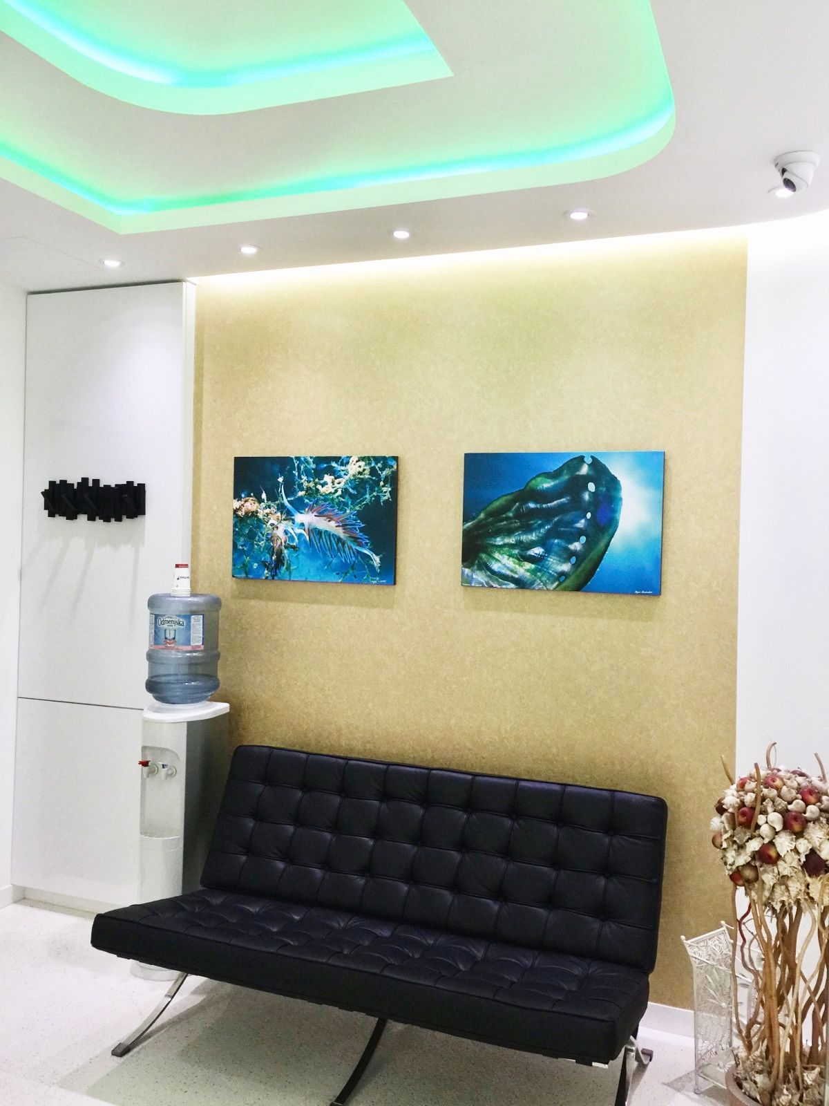 6a.jpg - Specijalistička stomatološka ordinacija Doktor Tatjana Nikolić